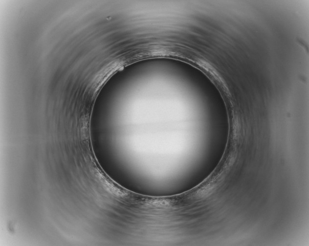 X0000102500801200808151519