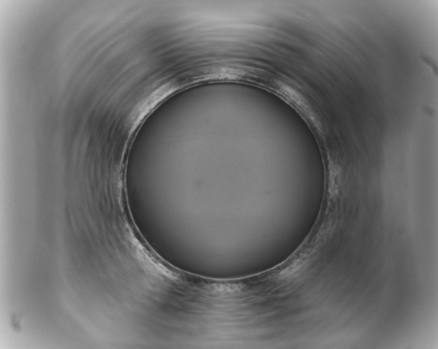 X0000102500802200808151519