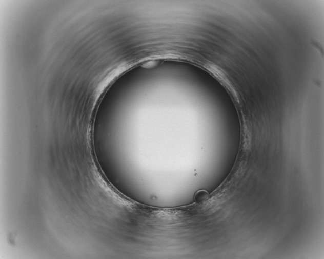 X0000102500805200808151519