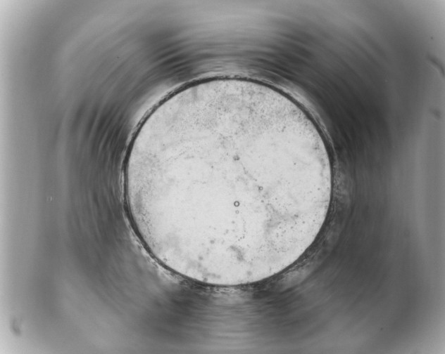 X0000102500807200808151519