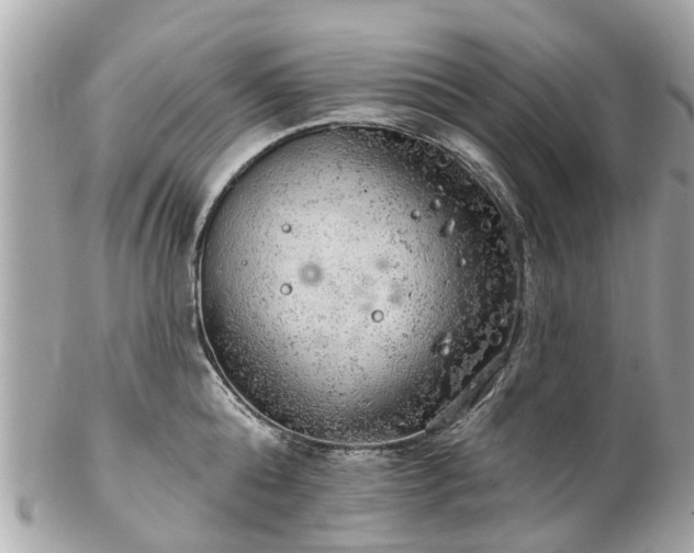 X0000102500808200808151519