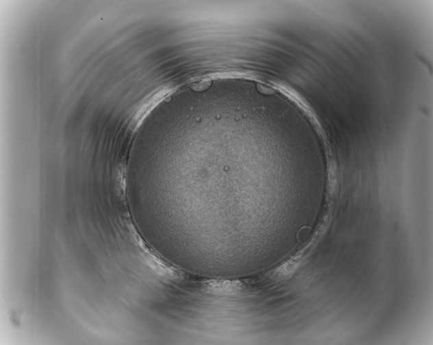 X0000102500809200808151519