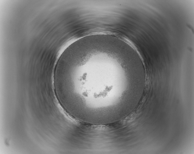 X0000102500811200808151519