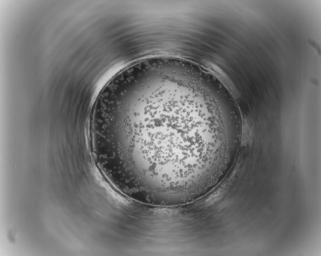 X0000102500812200808151519