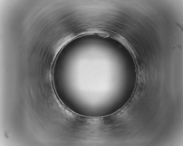 X0000102500813200808151519