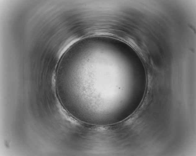 X0000102500814200808151519