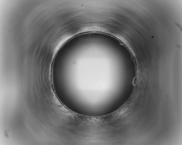 X0000102500815200808151519