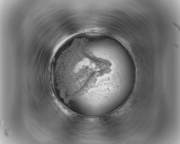 X0000102500816200808151519