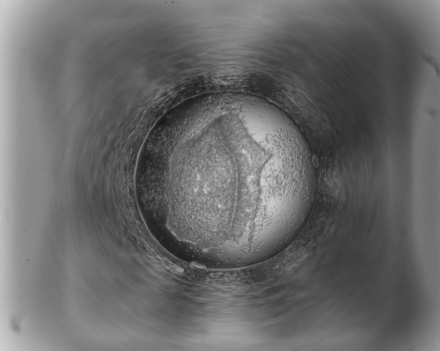 X0000102500817200808151518