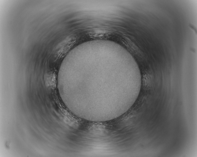 X0000102500820200808151518