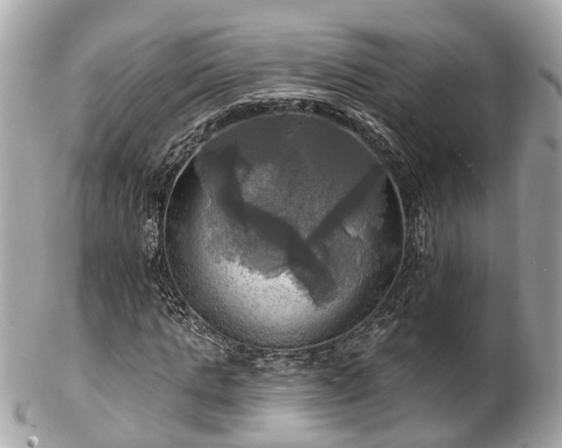 X0000102500821200808151518