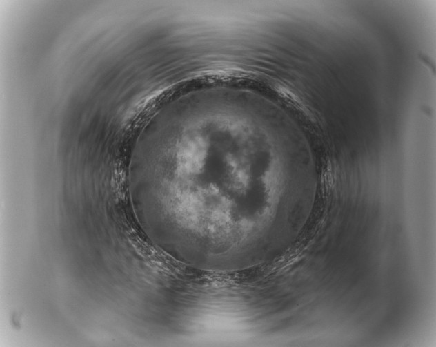 X0000102500822200808151518