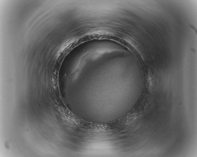 X0000102500823200808151518