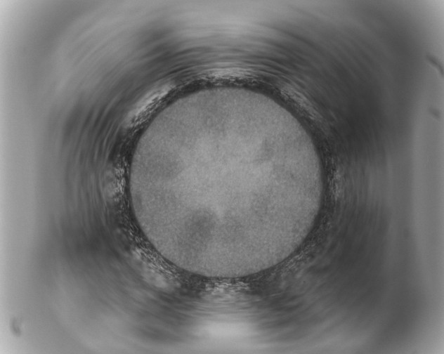 X0000102500824200808151518