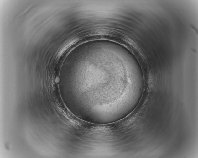 X0000102500826200808151518