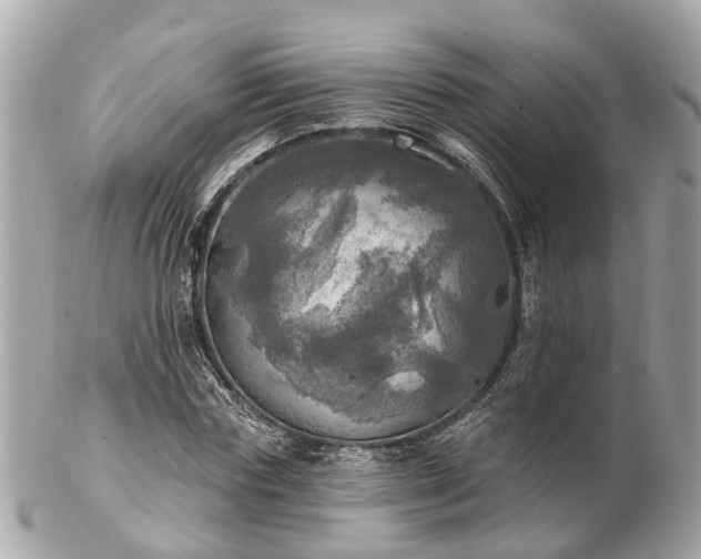 X0000102500827200808151518