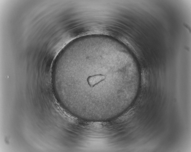 X0000102500828200808151518