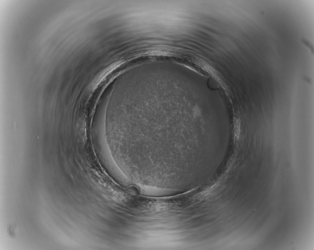 X0000102500829200808151518