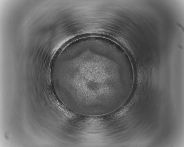 X0000102500830200808151518