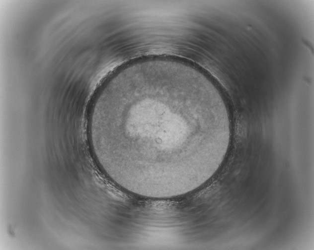 X0000102500832200808151518