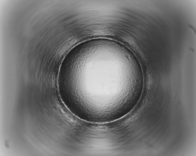 X0000102500833200808151518