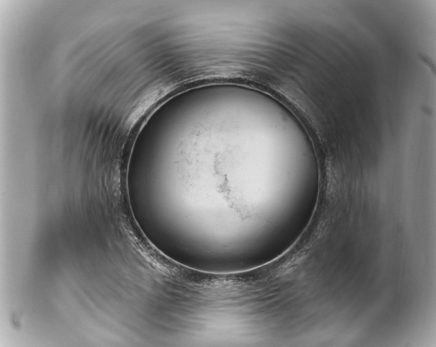 X0000102500834200808151518