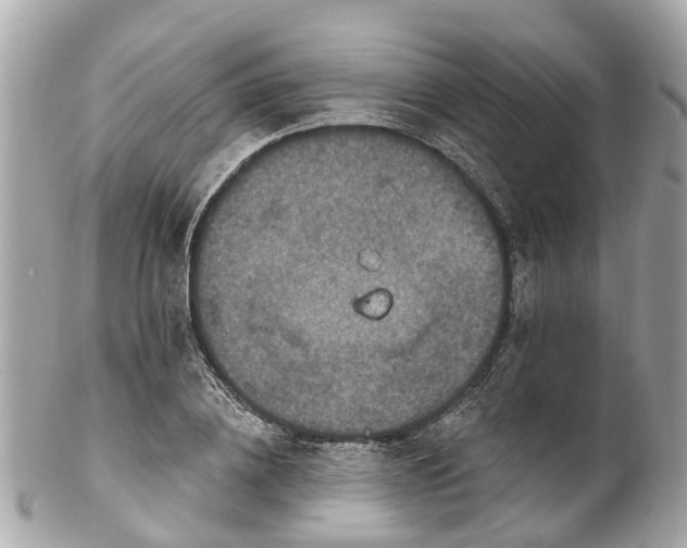 X0000102500836200808151519