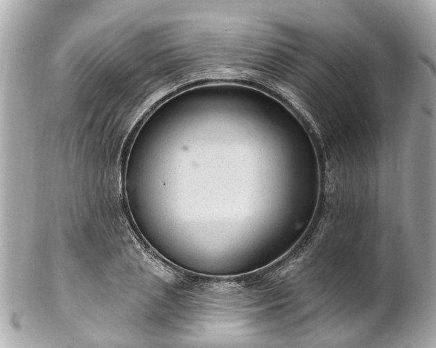 X0000102500837200808151519