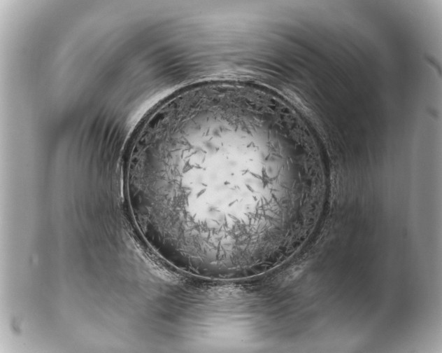 X0000102500838200808151519