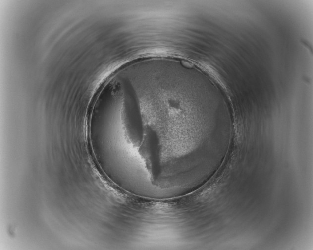 X0000102500839200808151519