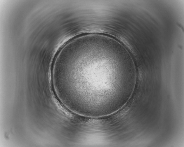 X0000102500840200808151519