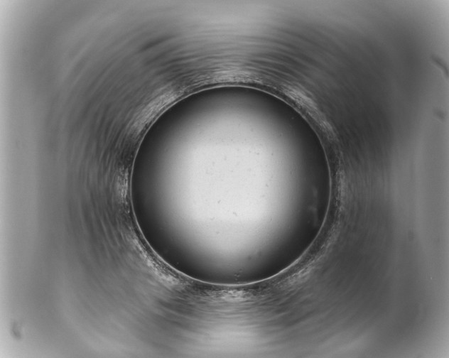 X0000102500841200808151519