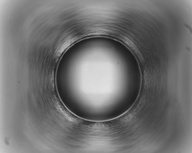 X0000102500842200808151519