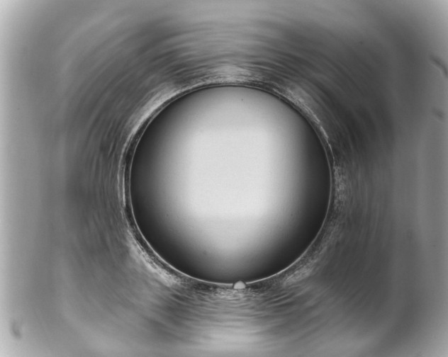 X0000102500843200808151519