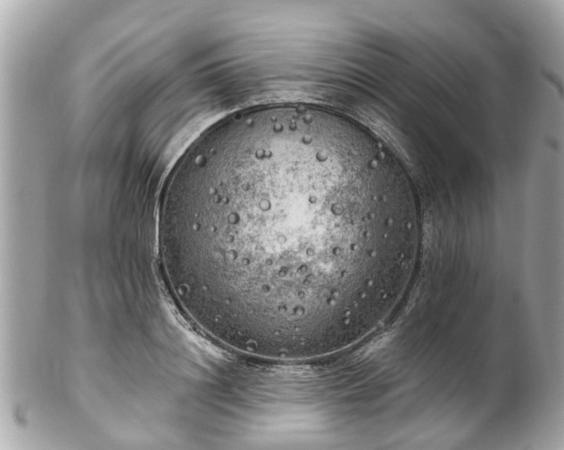 X0000102500844200808151519