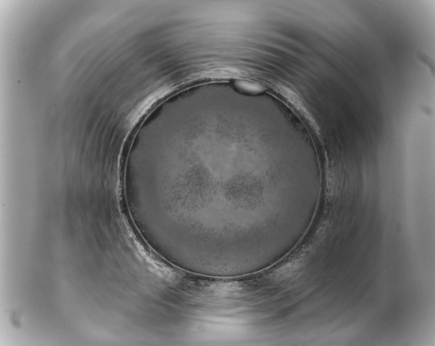 X0000102500845200808151519