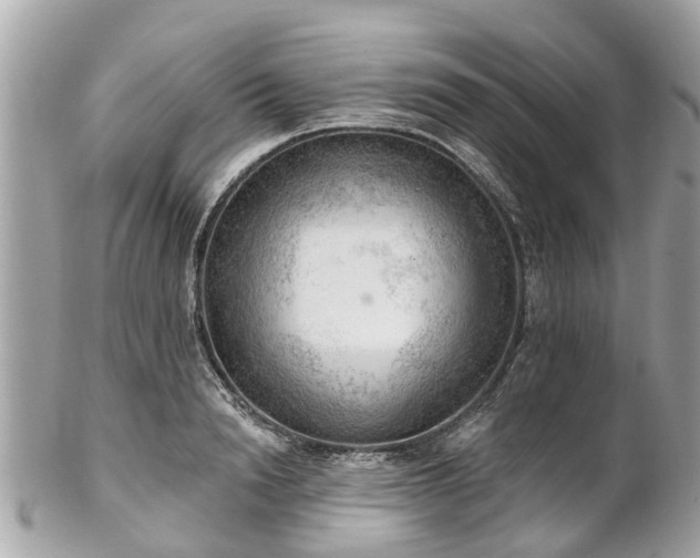 X0000102500846200808151519