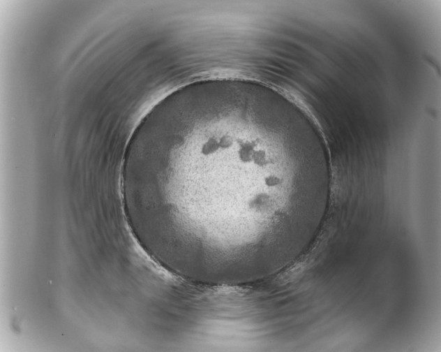 X0000102500847200808151519