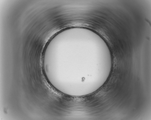 X0000102500848200808151519