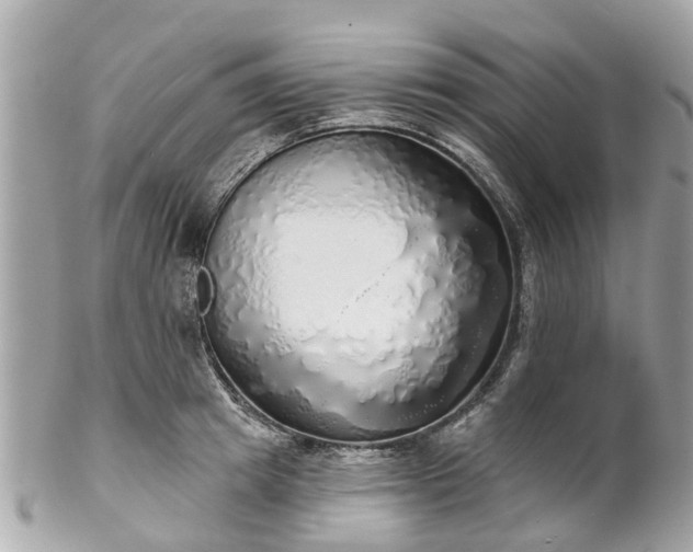 X0000102500849200808151519