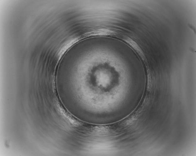 X0000102500850200808151519