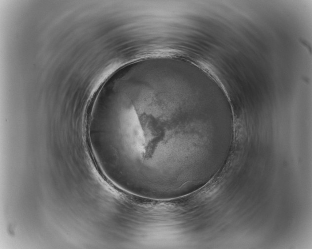 X0000102500851200808151519