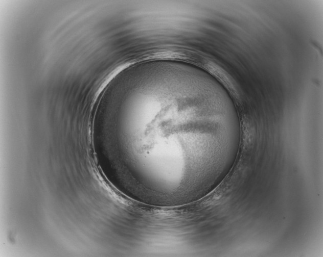 X0000102500852200808151519