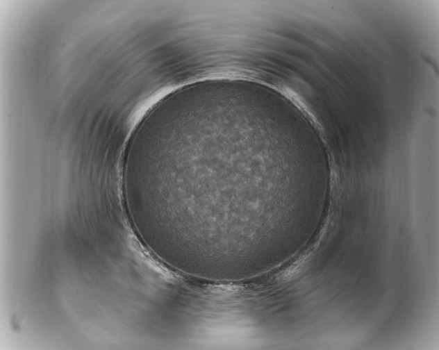 X0000102500854200808151519