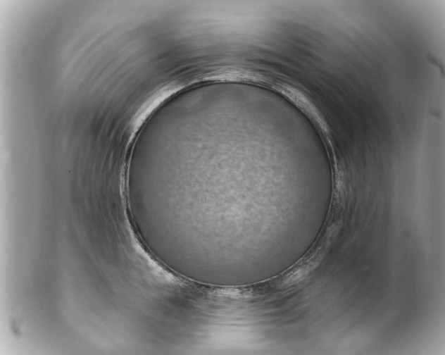 X0000102500855200808151519