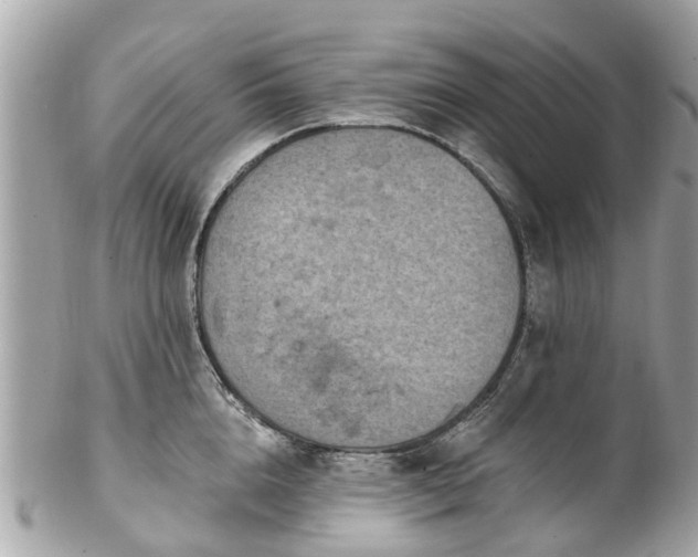 X0000102500856200808151519