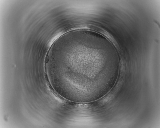 X0000102500858200808151519