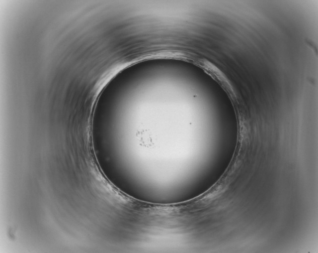 X0000102500860200808151519