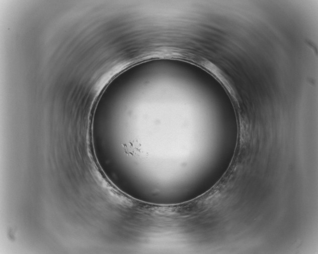 X0000102500861200808151519