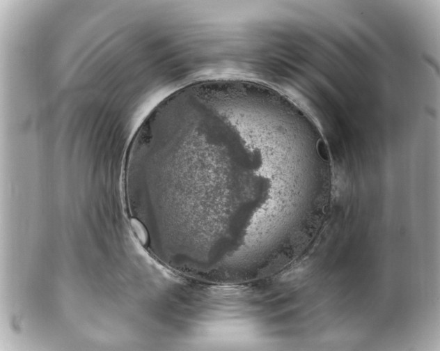 X0000102500863200808151519